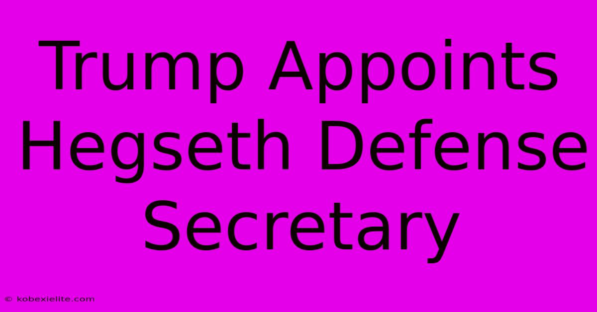 Trump Appoints Hegseth Defense Secretary