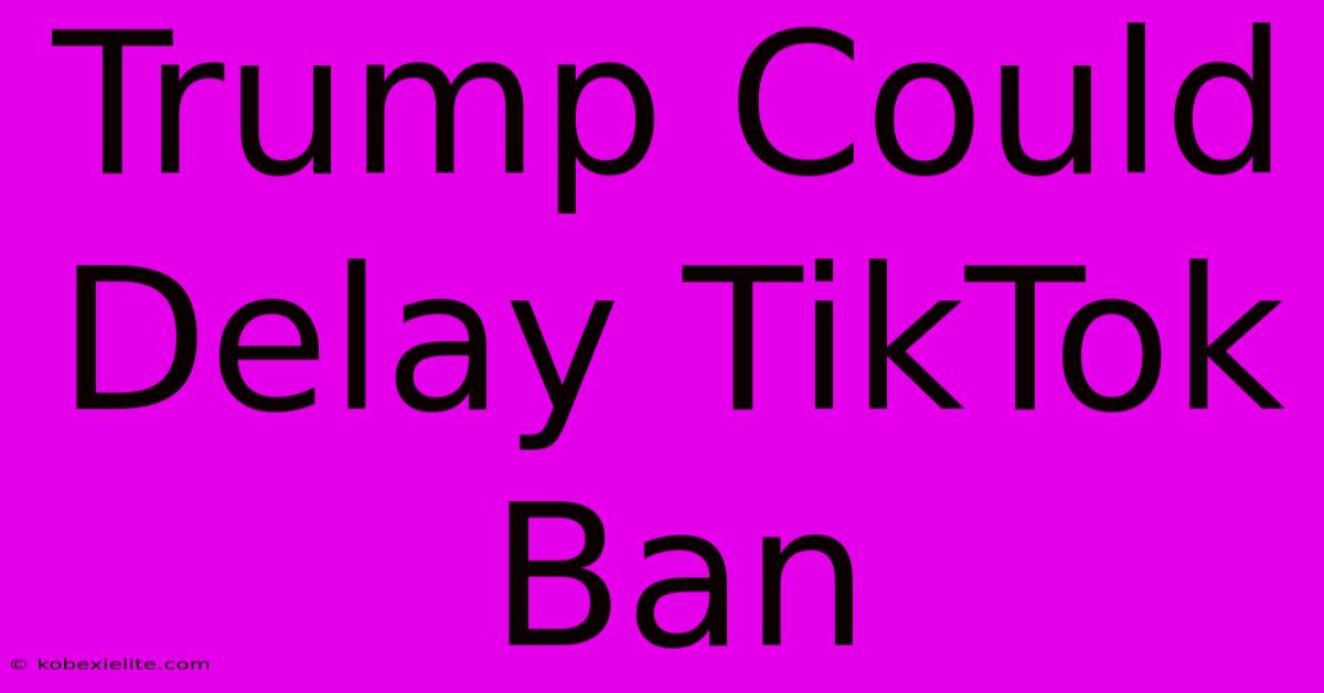 Trump Could Delay TikTok Ban