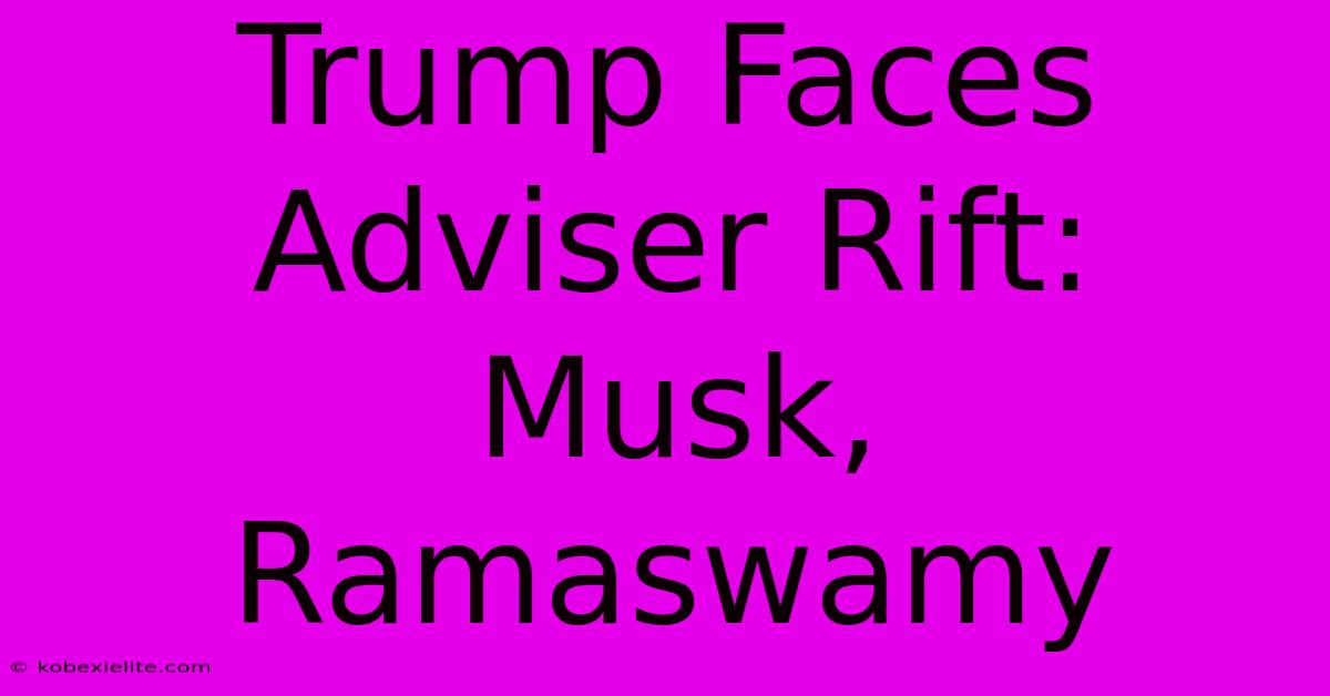 Trump Faces Adviser Rift: Musk, Ramaswamy