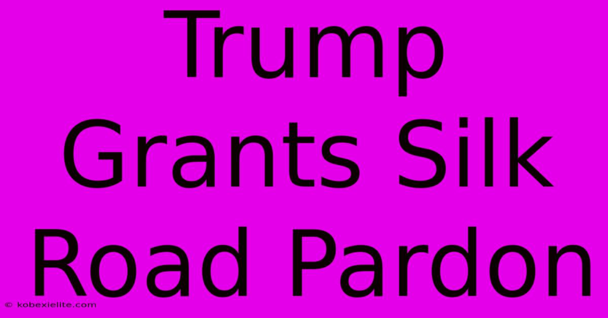 Trump Grants Silk Road Pardon