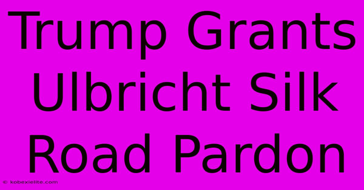 Trump Grants Ulbricht Silk Road Pardon