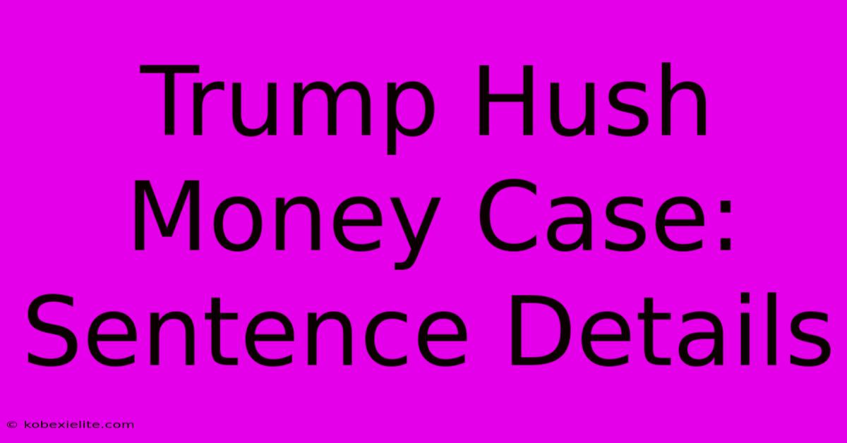 Trump Hush Money Case: Sentence Details