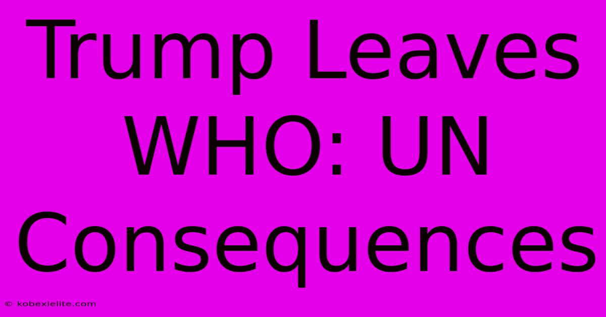 Trump Leaves WHO: UN Consequences