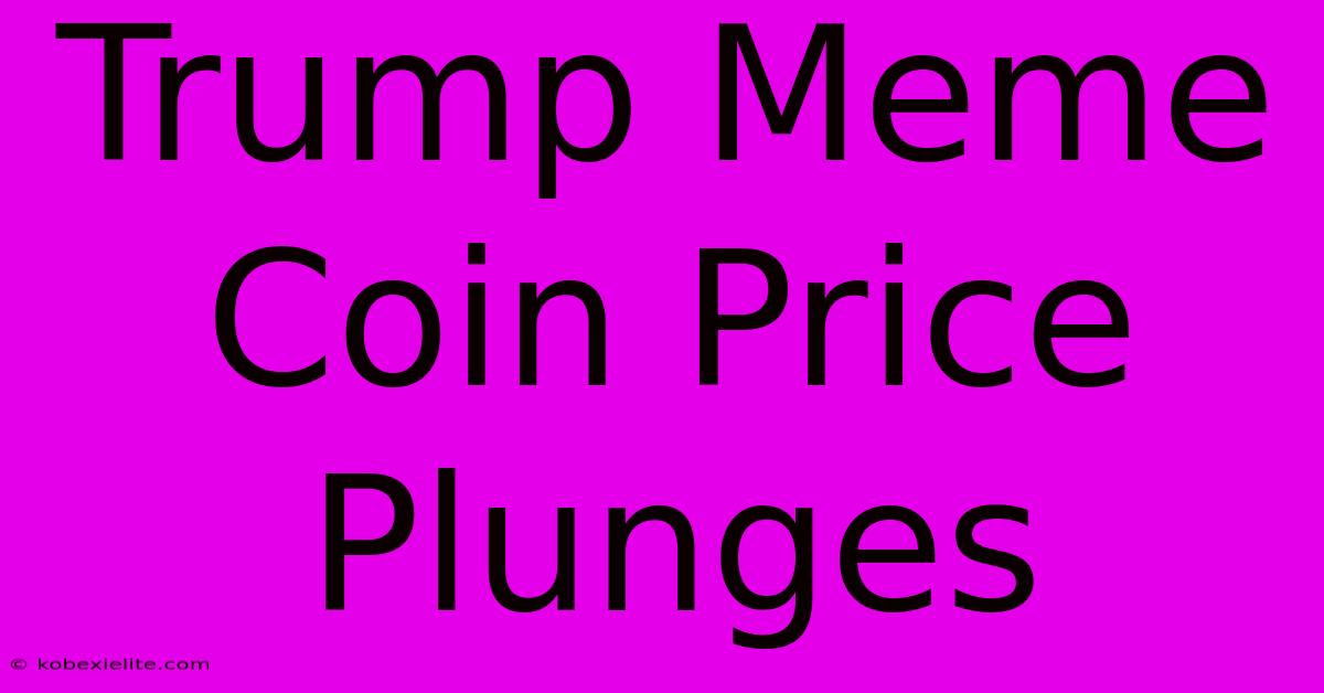 Trump Meme Coin Price Plunges