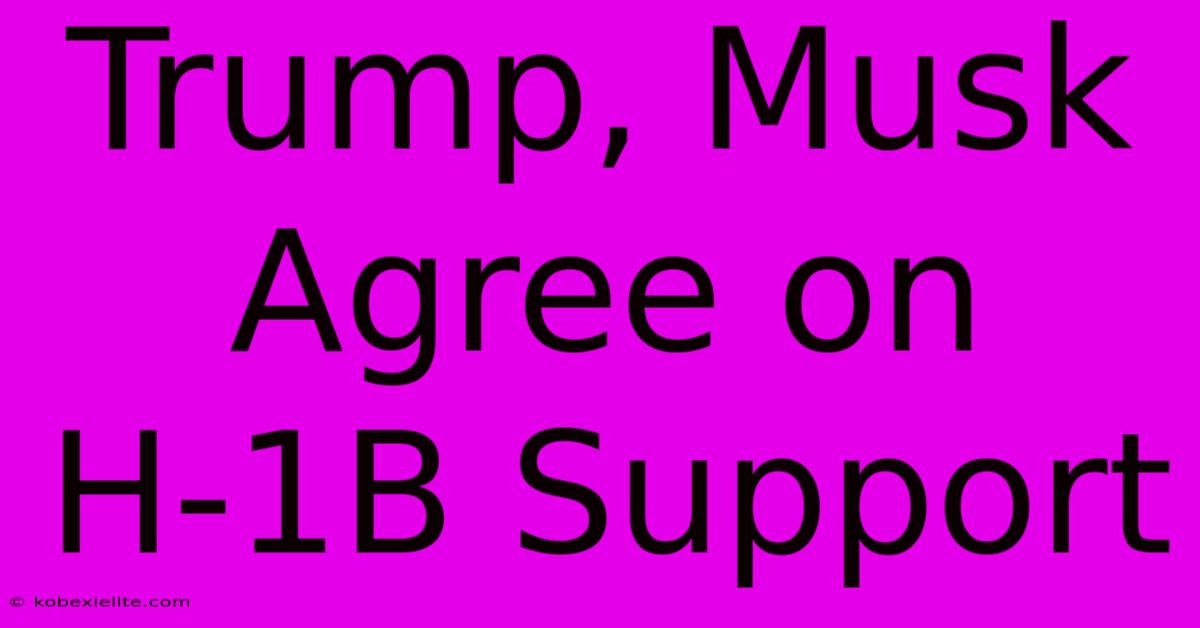 Trump, Musk Agree On H-1B Support