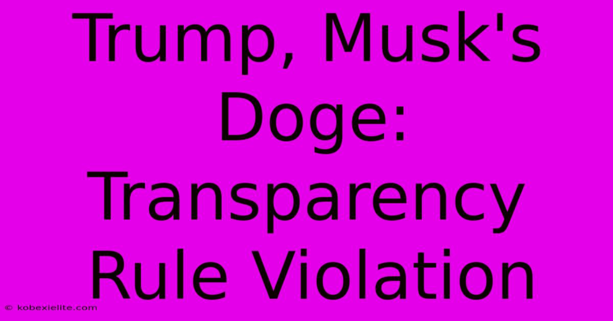 Trump, Musk's Doge: Transparency Rule Violation