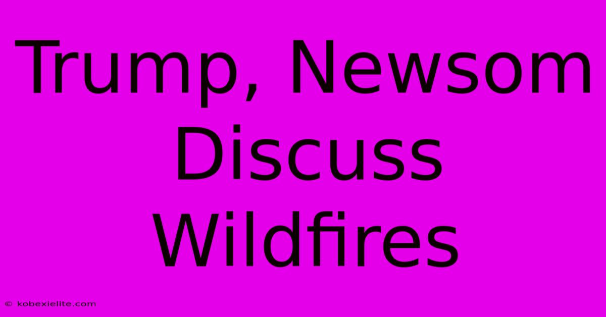 Trump, Newsom Discuss Wildfires