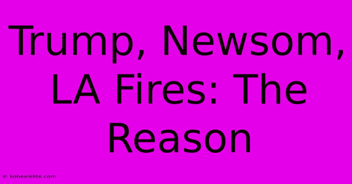 Trump, Newsom, LA Fires: The Reason