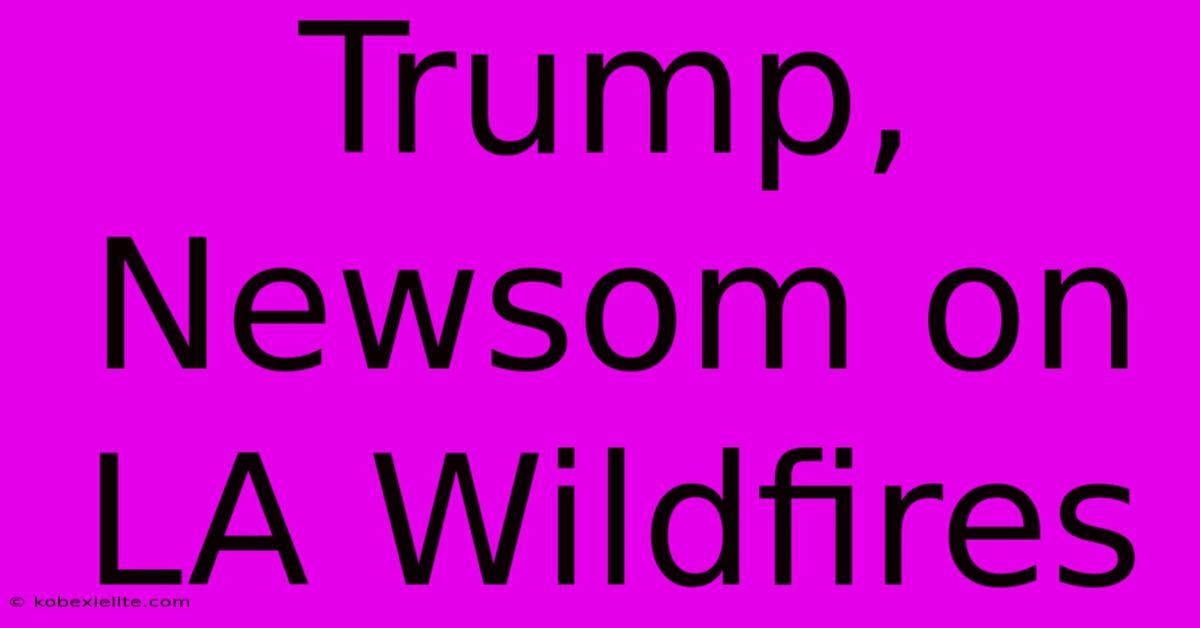 Trump, Newsom On LA Wildfires