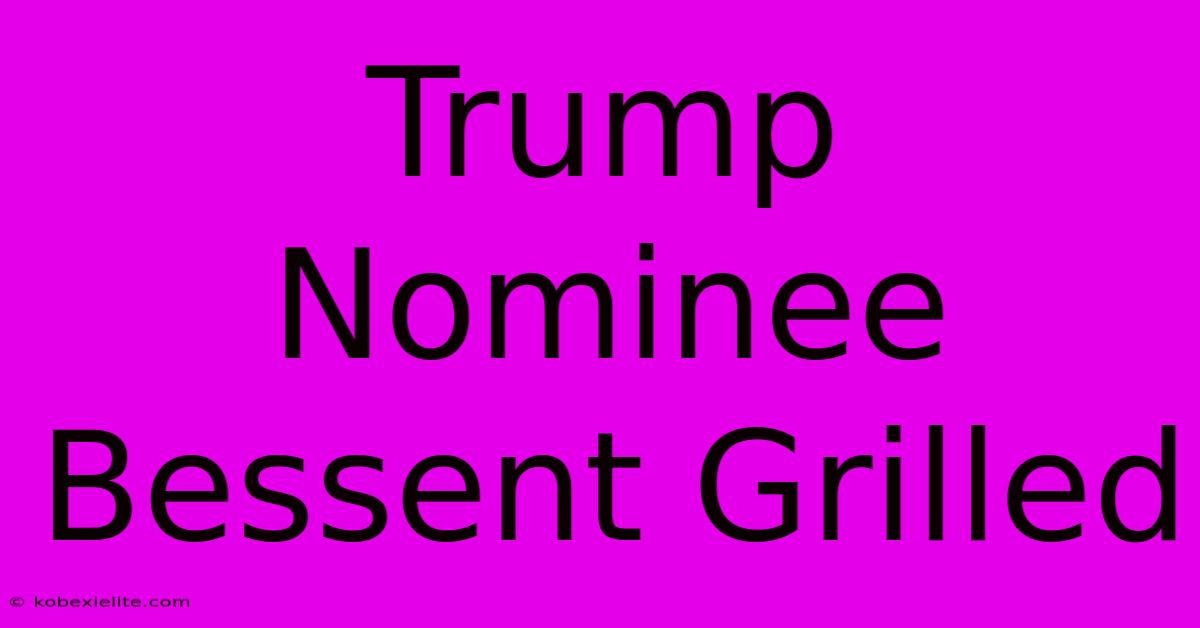 Trump Nominee Bessent Grilled