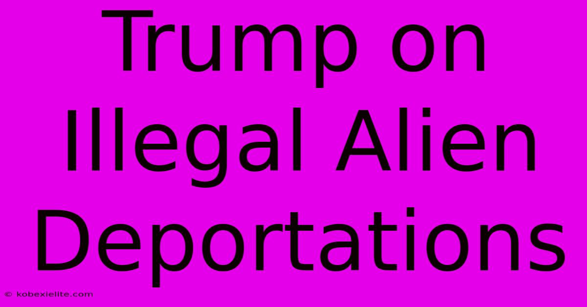 Trump On Illegal Alien Deportations