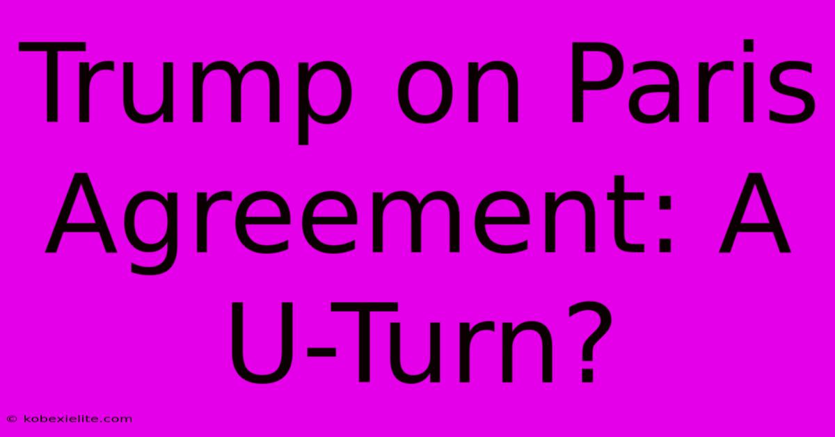 Trump On Paris Agreement: A U-Turn?