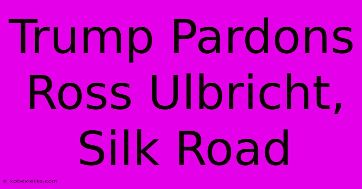 Trump Pardons Ross Ulbricht, Silk Road