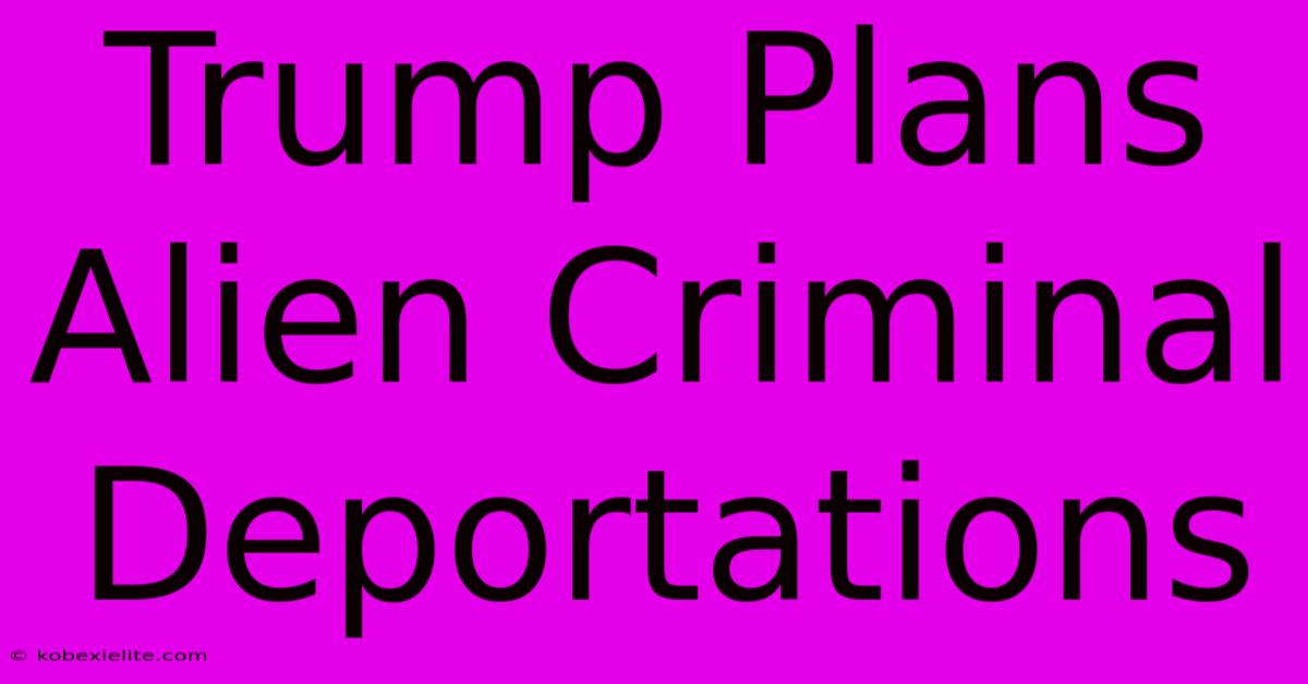 Trump Plans Alien Criminal Deportations