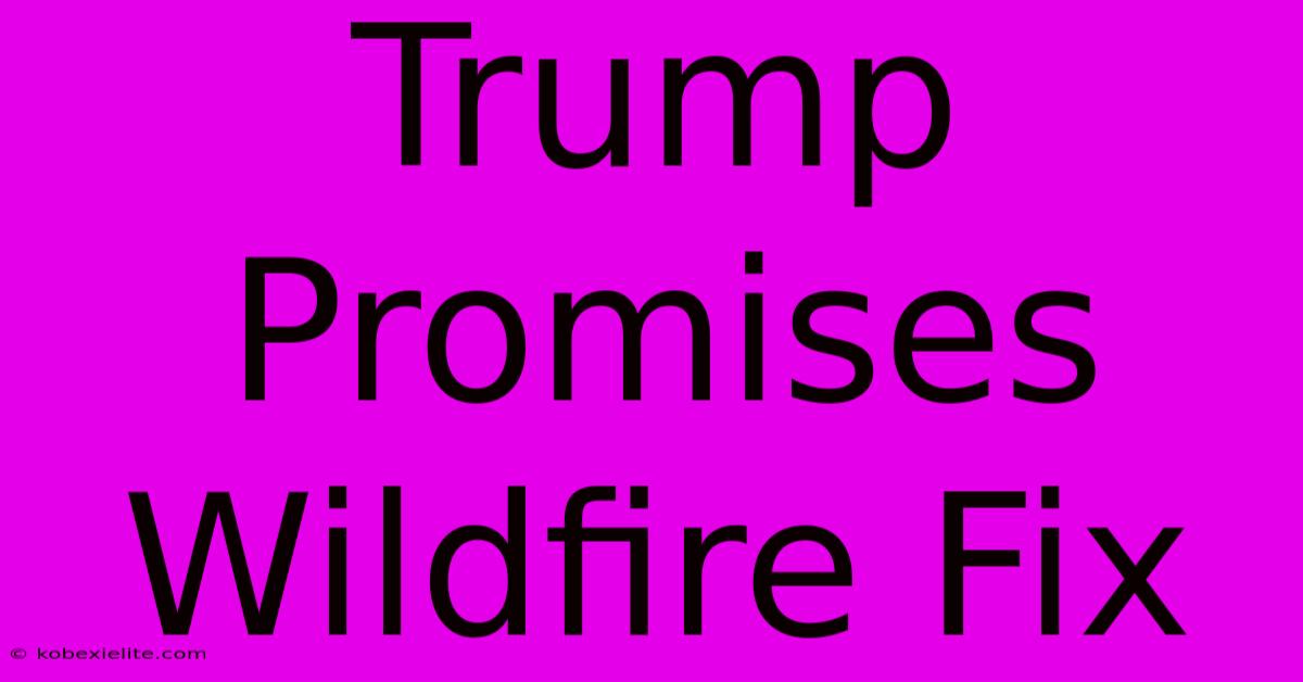 Trump Promises Wildfire Fix