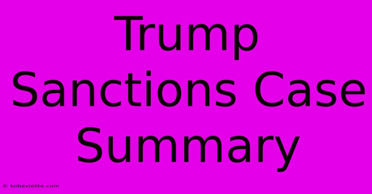 Trump Sanctions Case Summary