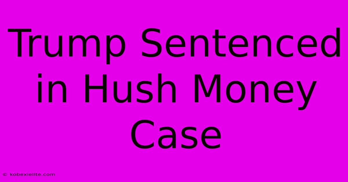 Trump Sentenced In Hush Money Case