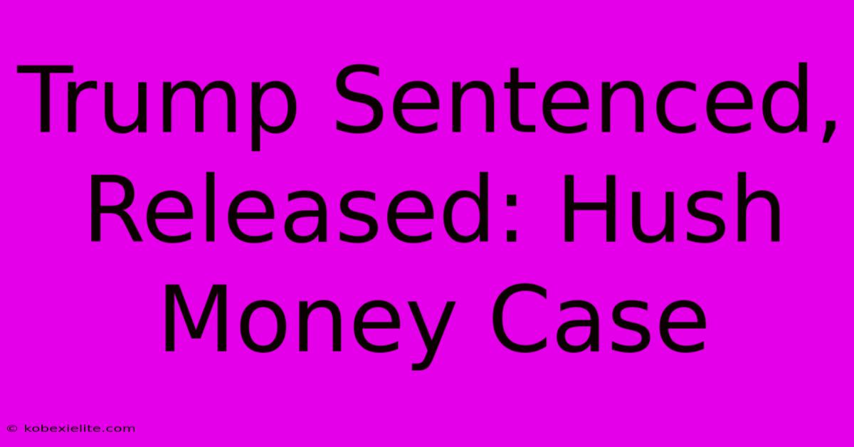 Trump Sentenced, Released: Hush Money Case