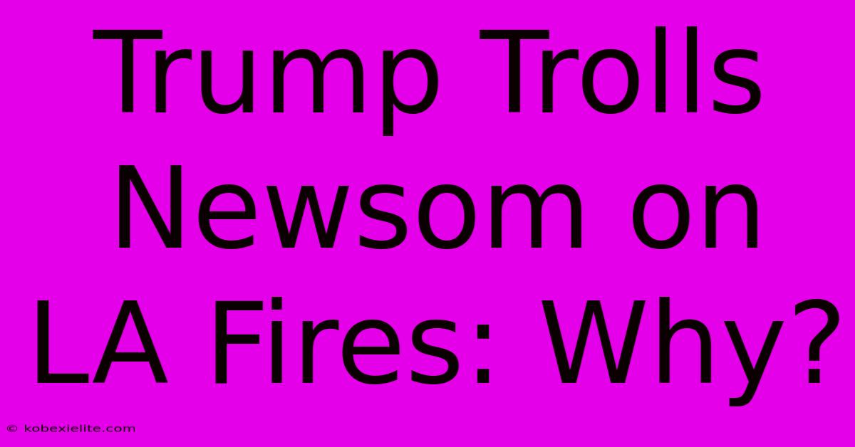 Trump Trolls Newsom On LA Fires: Why?