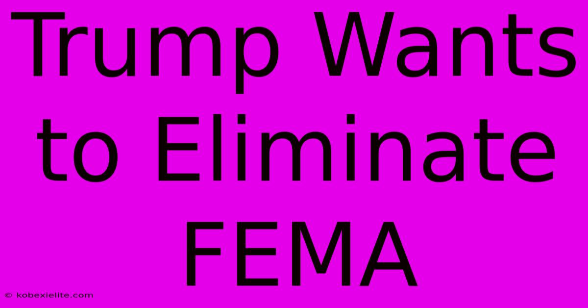 Trump Wants To Eliminate FEMA