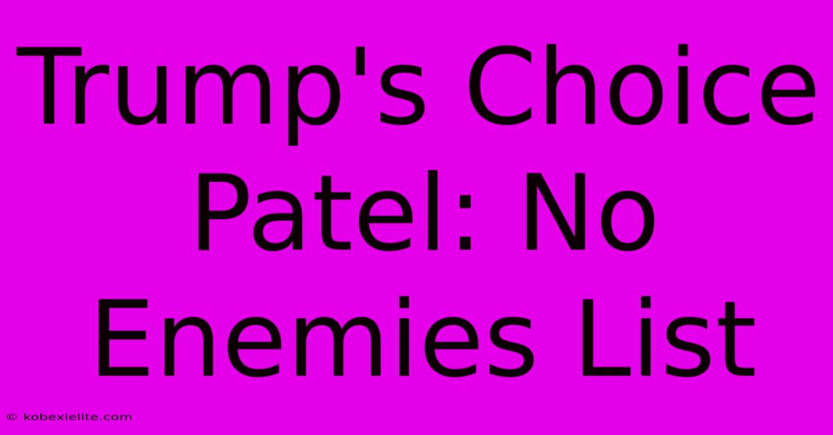 Trump's Choice Patel: No Enemies List