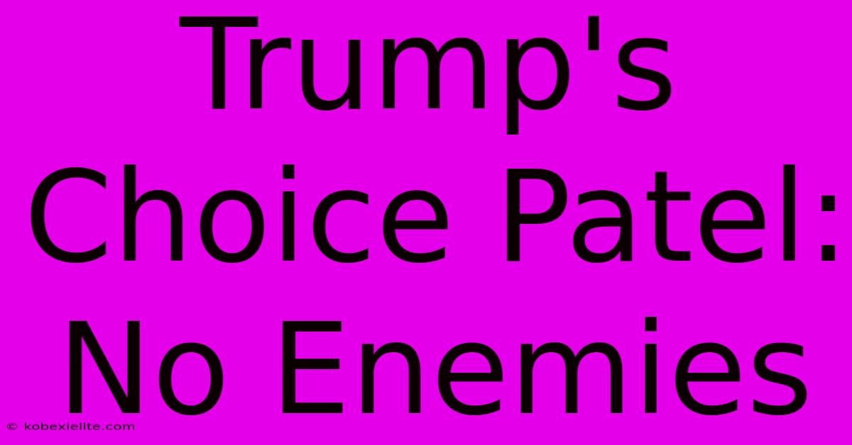 Trump's Choice Patel: No Enemies