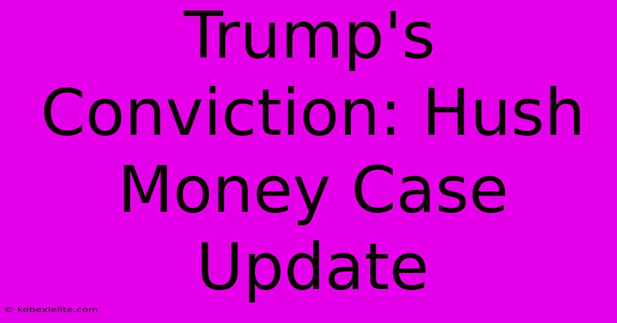 Trump's Conviction: Hush Money Case Update