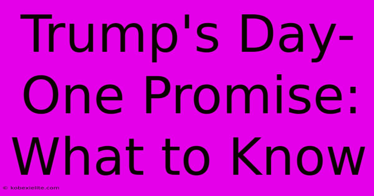 Trump's Day-One Promise: What To Know