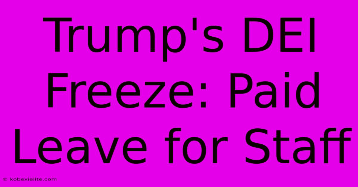 Trump's DEI Freeze: Paid Leave For Staff