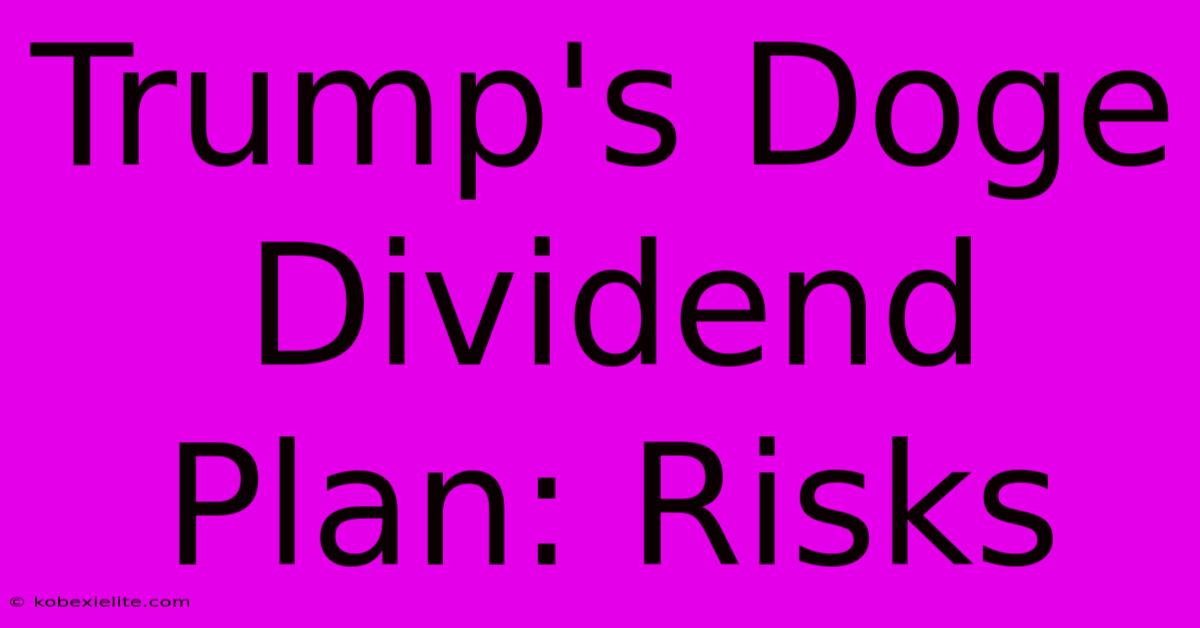 Trump's Doge Dividend Plan: Risks