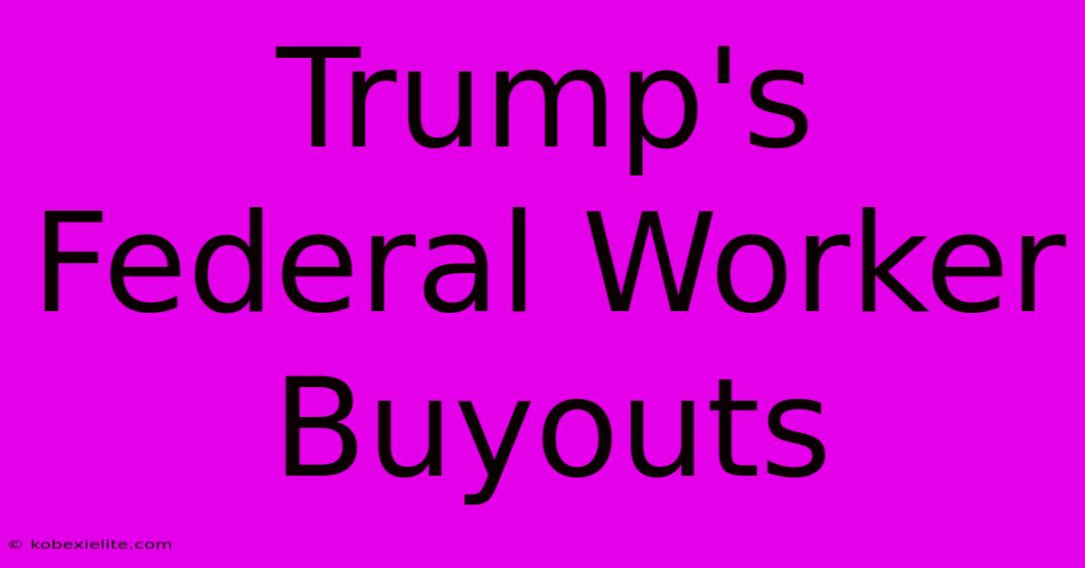 Trump's Federal Worker Buyouts