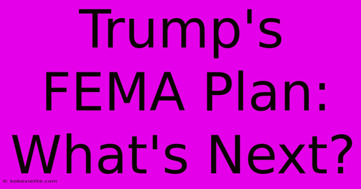 Trump's FEMA Plan: What's Next?