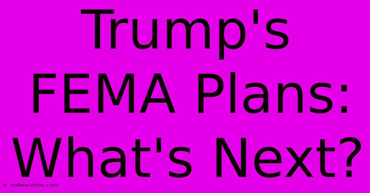 Trump's FEMA Plans: What's Next?