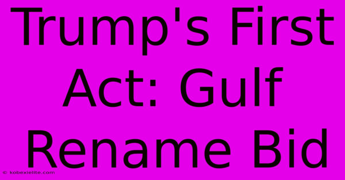 Trump's First Act: Gulf Rename Bid