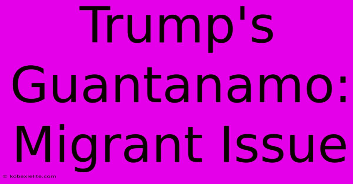 Trump's Guantanamo: Migrant Issue