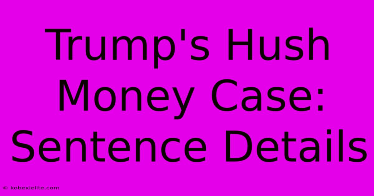 Trump's Hush Money Case: Sentence Details