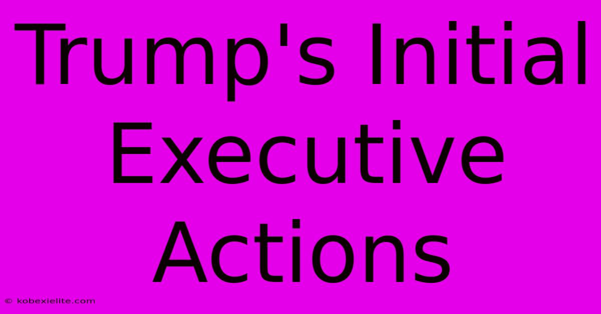 Trump's Initial Executive Actions