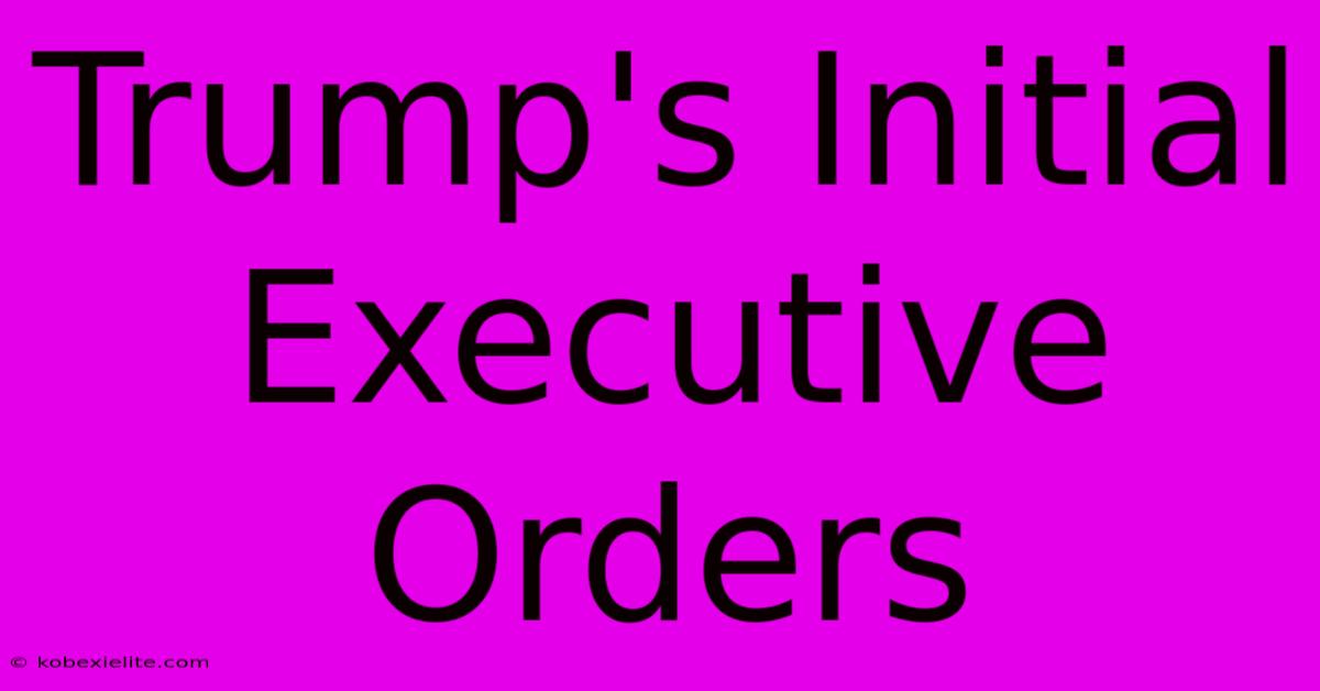 Trump's Initial Executive Orders