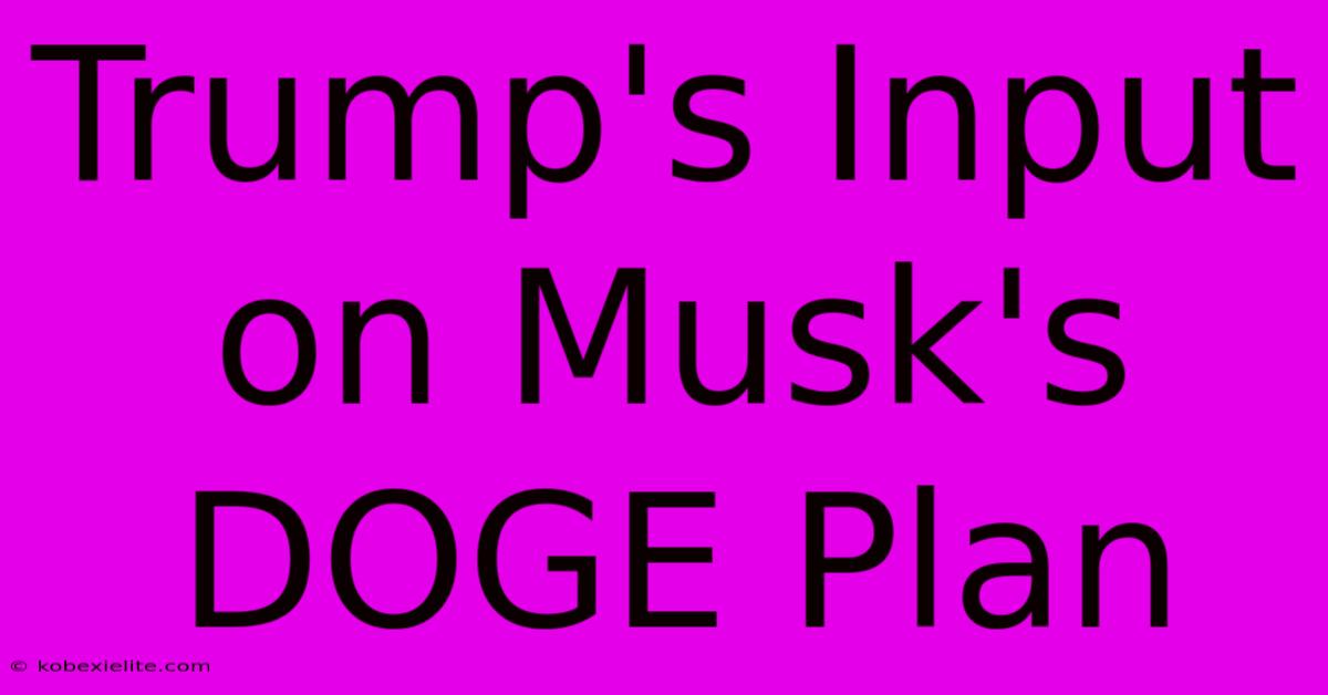 Trump's Input On Musk's DOGE Plan