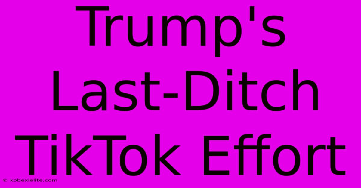 Trump's Last-Ditch TikTok Effort