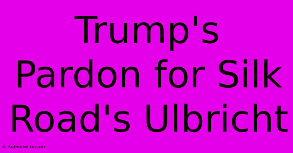 Trump's Pardon For Silk Road's Ulbricht