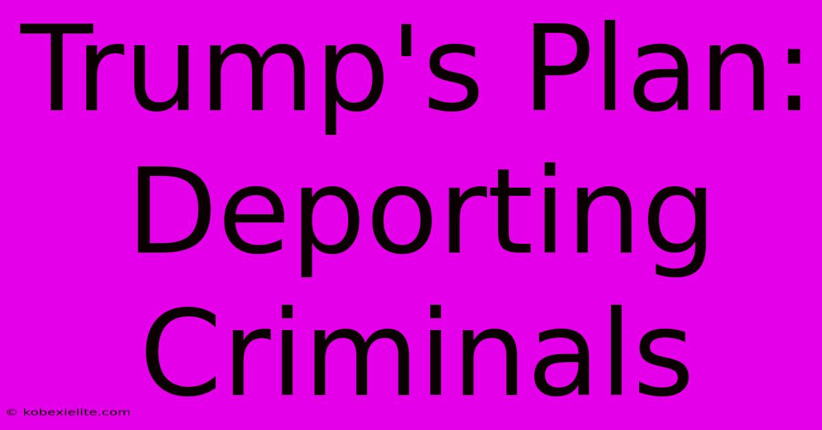 Trump's Plan: Deporting Criminals