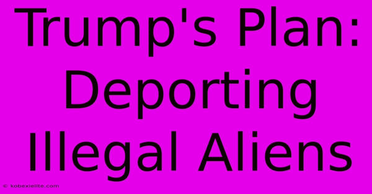 Trump's Plan: Deporting Illegal Aliens