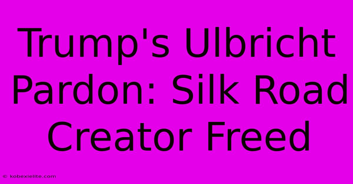 Trump's Ulbricht Pardon: Silk Road Creator Freed