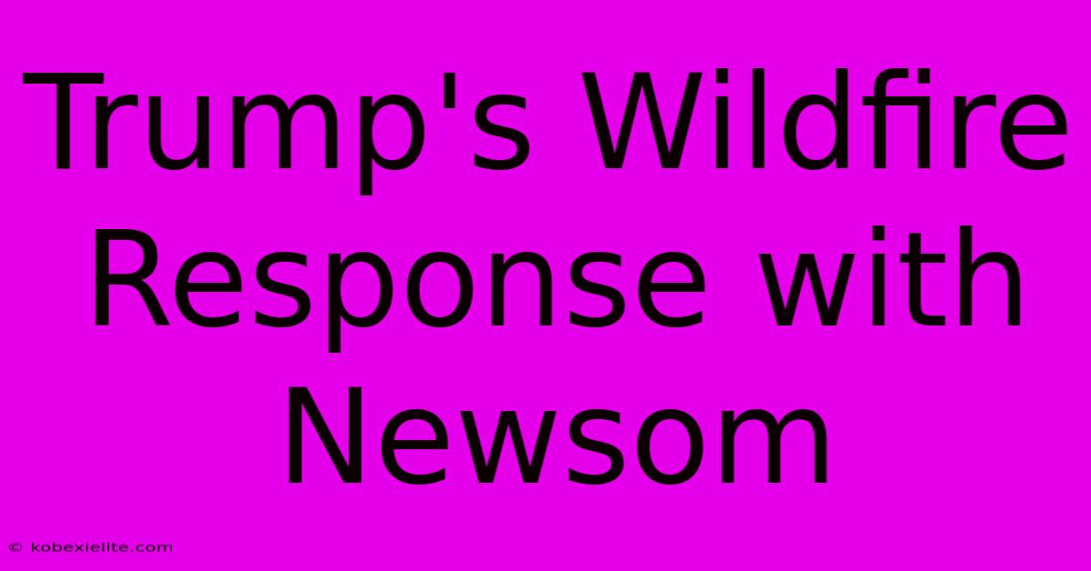 Trump's Wildfire Response With Newsom