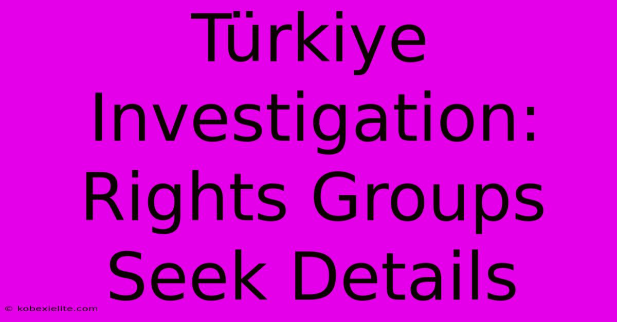 Tรผrkiye Investigation: Rights Groups Seek Details Tรผrkiye Investigation: Rights Groups Seek Details