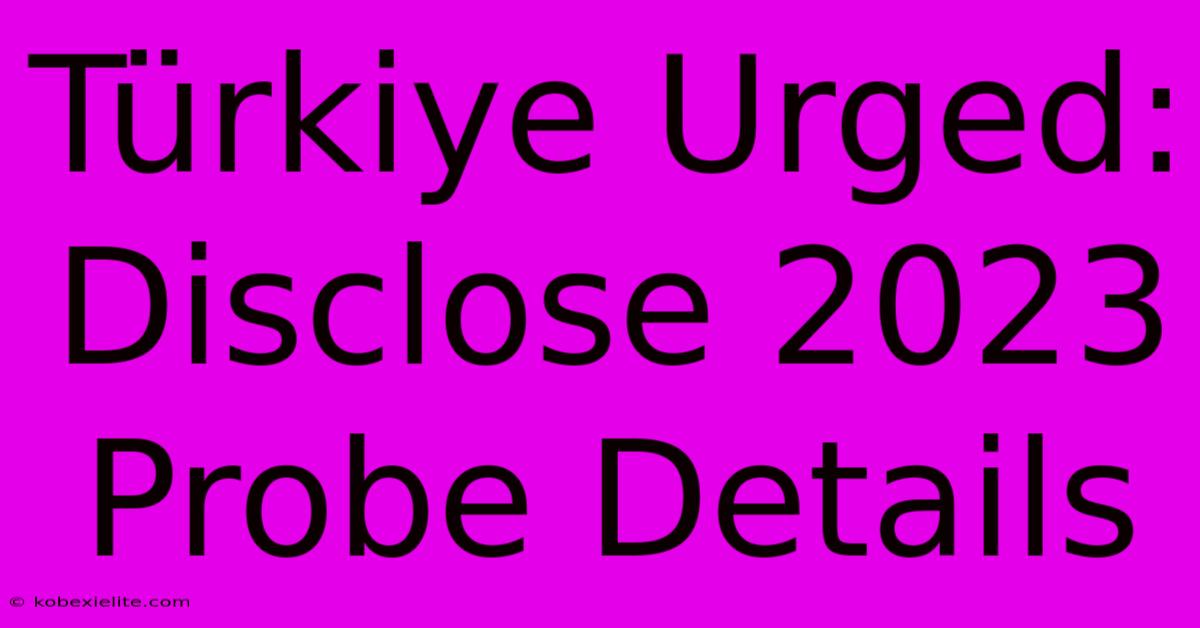 Tรผrkiye Urged: Disclose 2023 Probe Details Tรผrkiye Urged: Disclose 2023 Probe Details