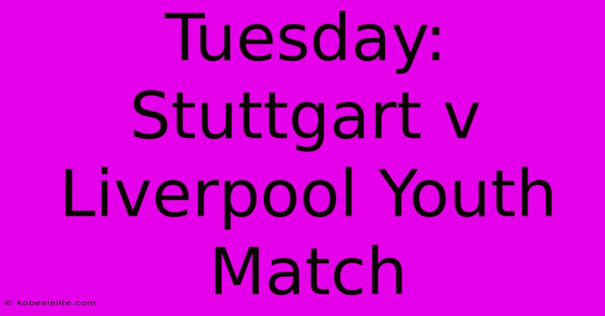 Tuesday: Stuttgart V Liverpool Youth Match