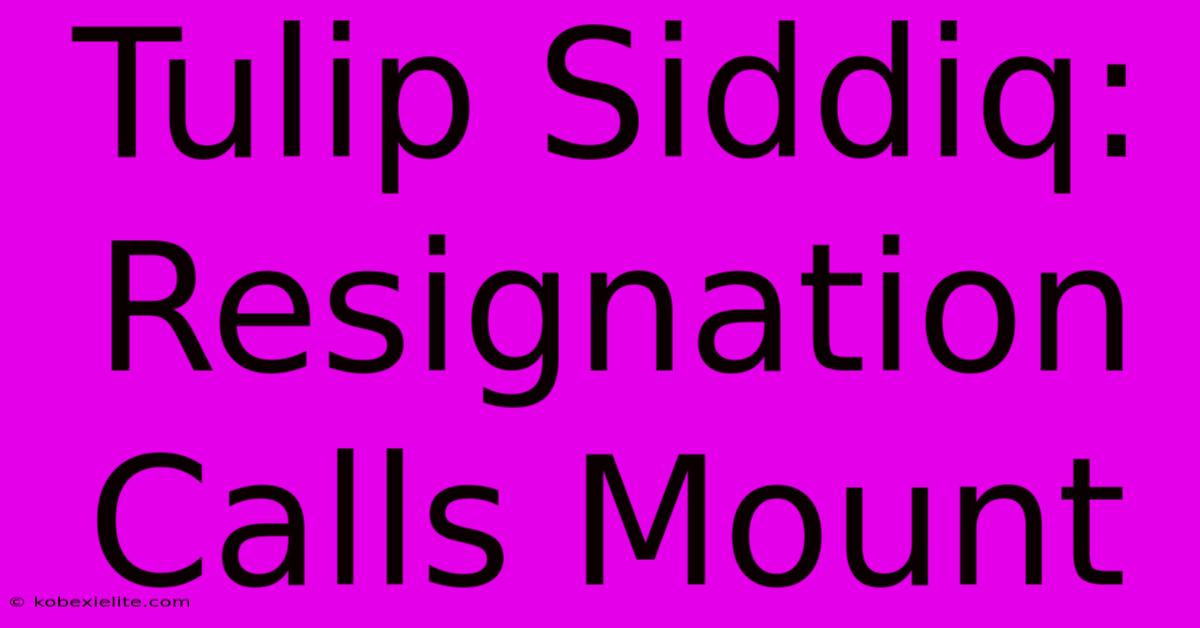 Tulip Siddiq: Resignation Calls Mount