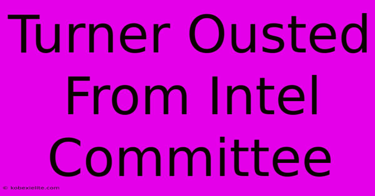 Turner Ousted From Intel Committee